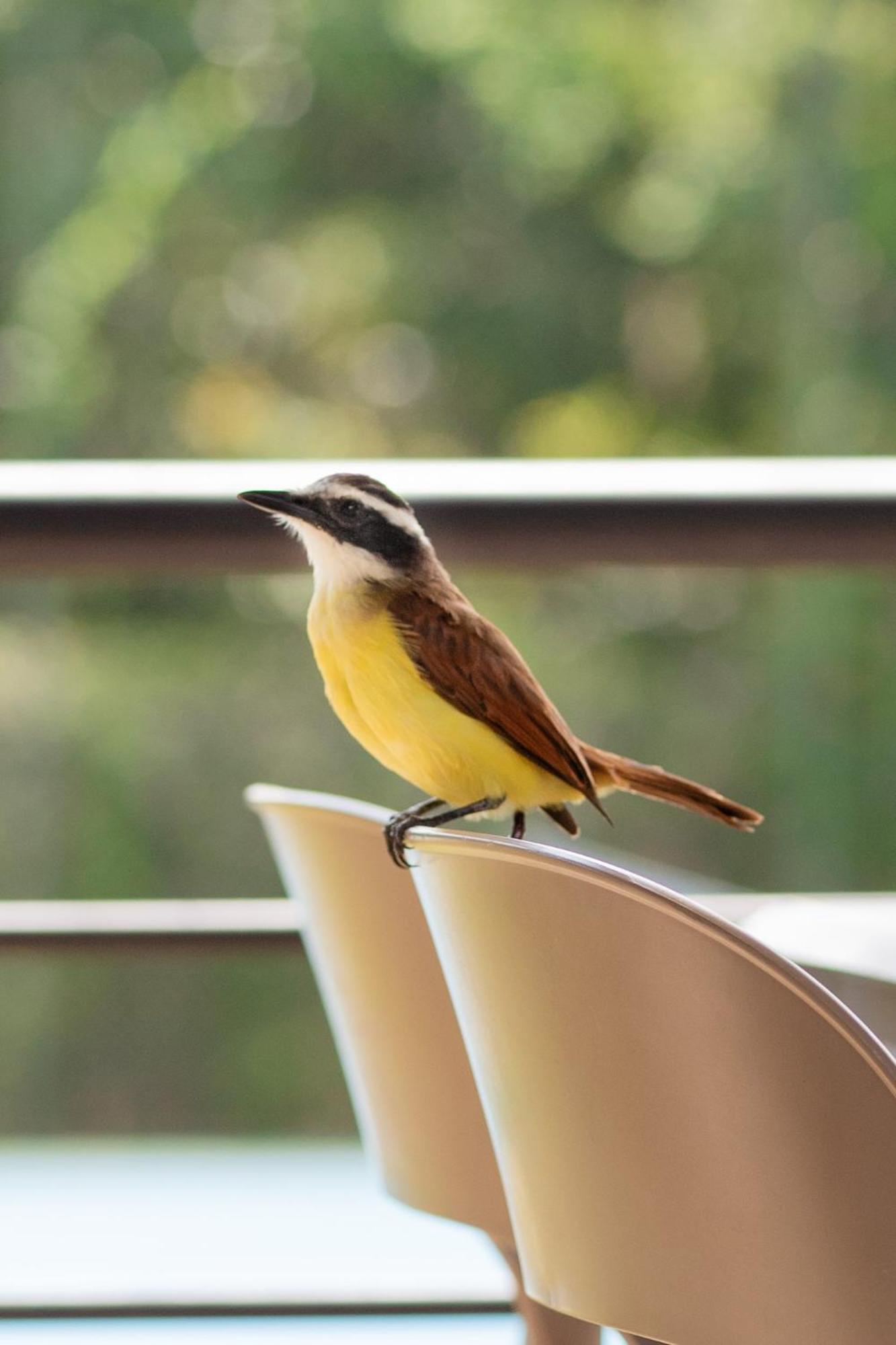 Natura Reservado - Hoteles Natura Anapoima Kültér fotó